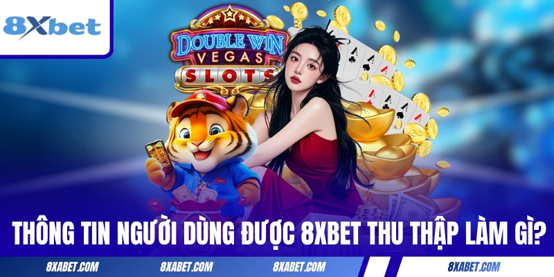 Thông tin người dùng được 8xbet thu thập để làm gì?